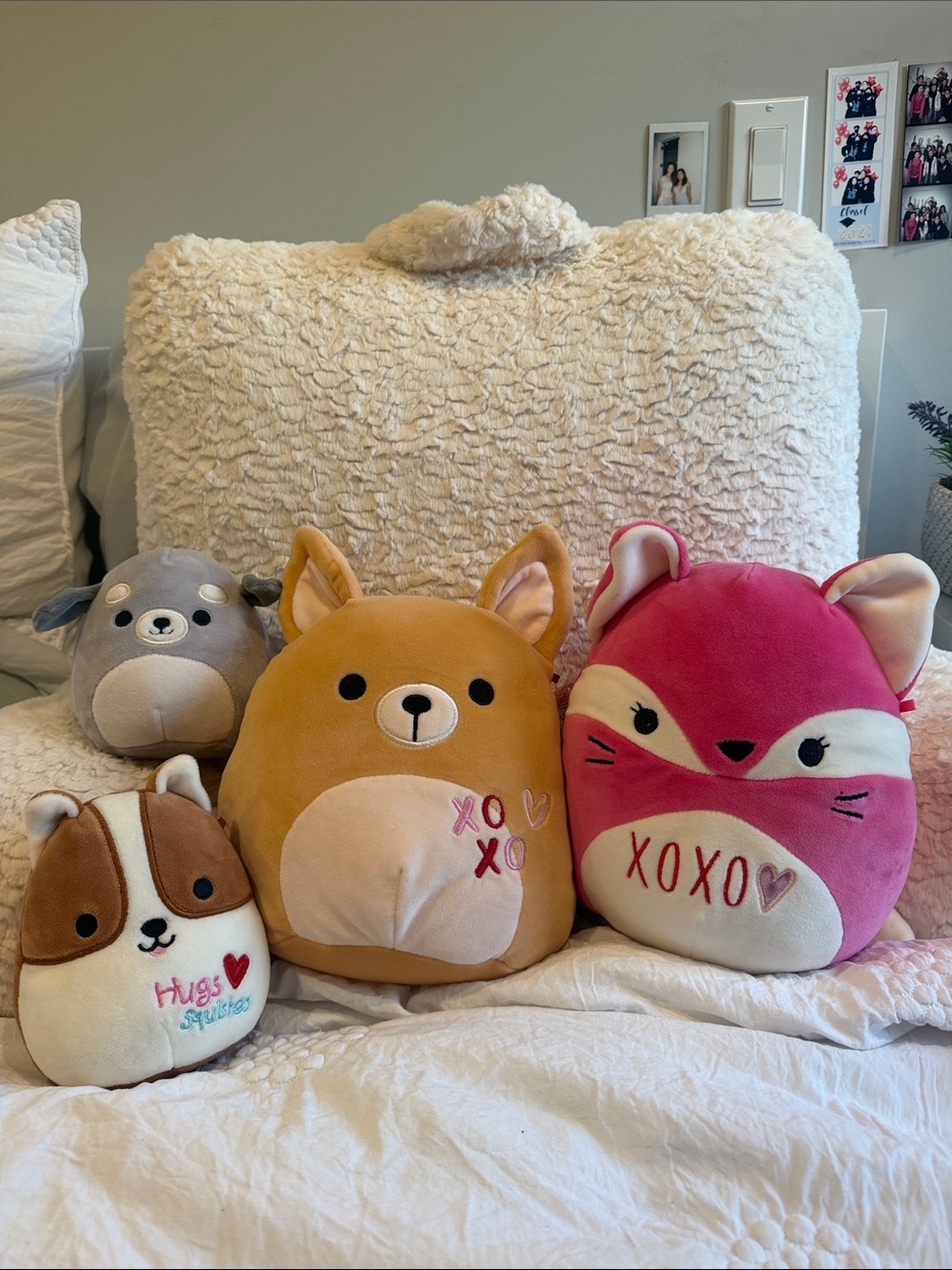 Squishmallows Pink Fox, Tan Corgi, Brown Pup & Gray Seal Plush Bundle